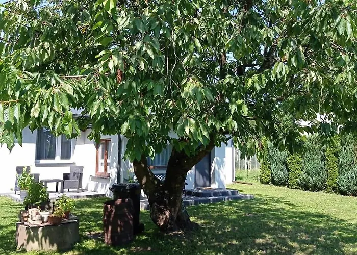 Dom Pod Czereśnią Dom wakacyjny *